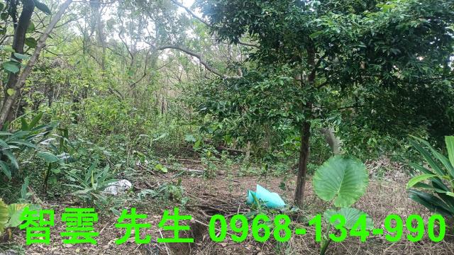 66快速道路台31線