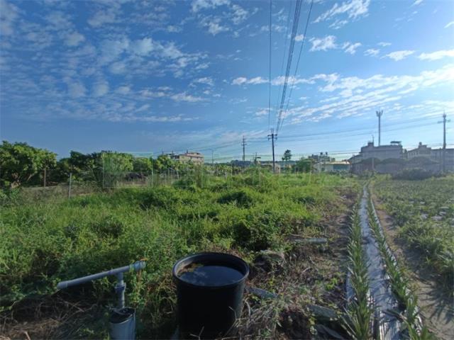 大樹農地-0