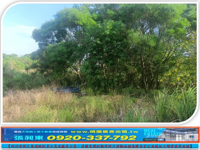 觀音上大好市多旁甲建