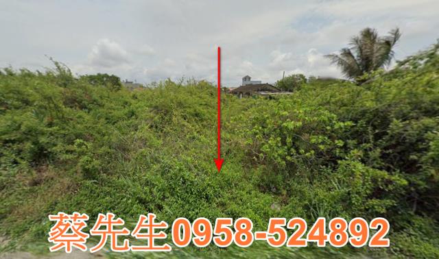 將軍廣山里乙建興建豪華住宅別墅