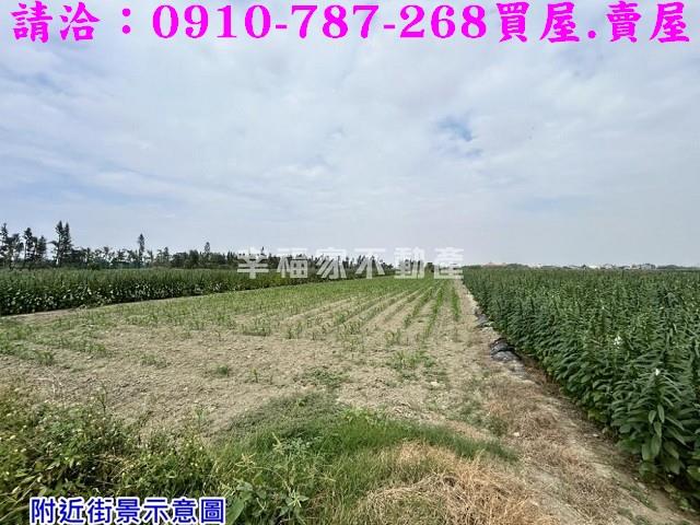 台南農地-7