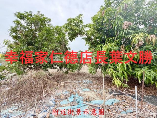 台南新營農地-11