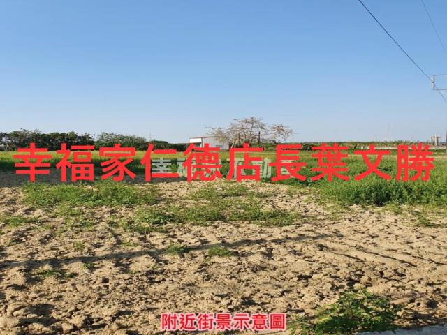 台南善化農地-1