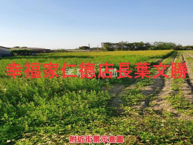 台南善化農地-6