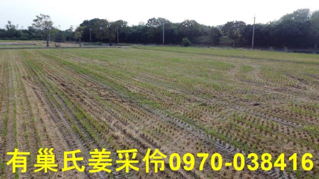 嘉義大林農地-11