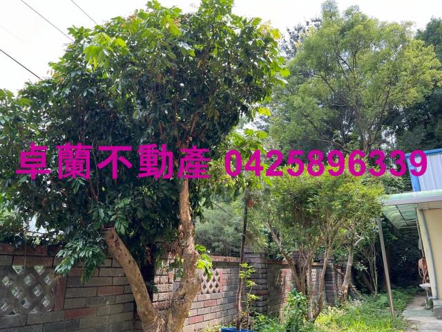 苗栗卓蘭農地-13