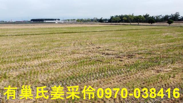 嘉義大林農地-9