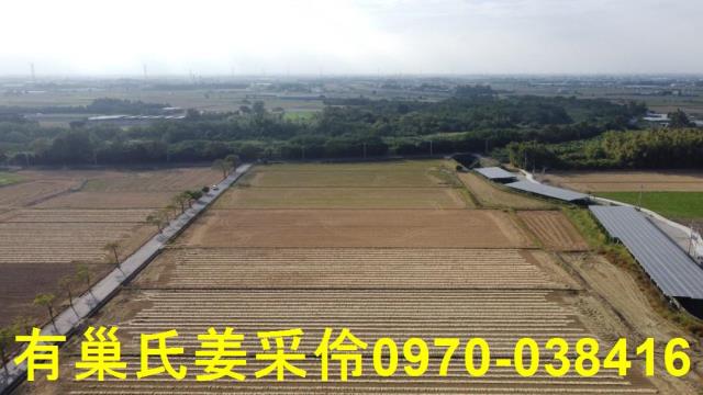 嘉義大林農地-7