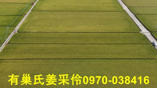 嘉義溪口農地-5