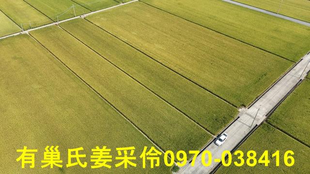 嘉義溪口農地-7