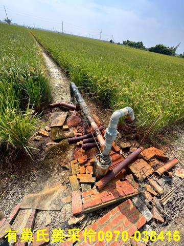 嘉義溪口農地-8