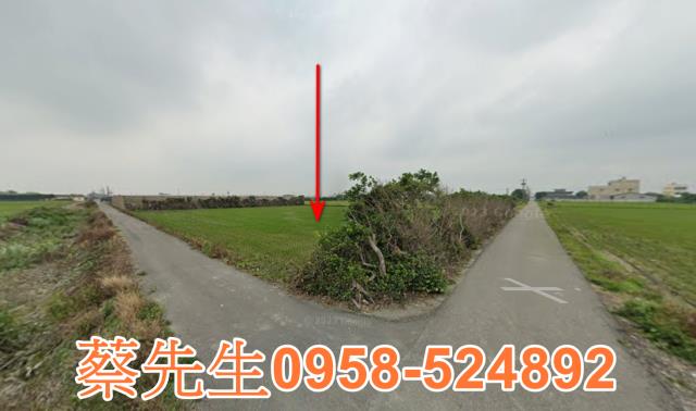 芳苑芳草路文津段農舍地興建農舍種植農作物