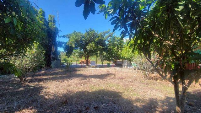 新竹縣關西建地農地休閒地