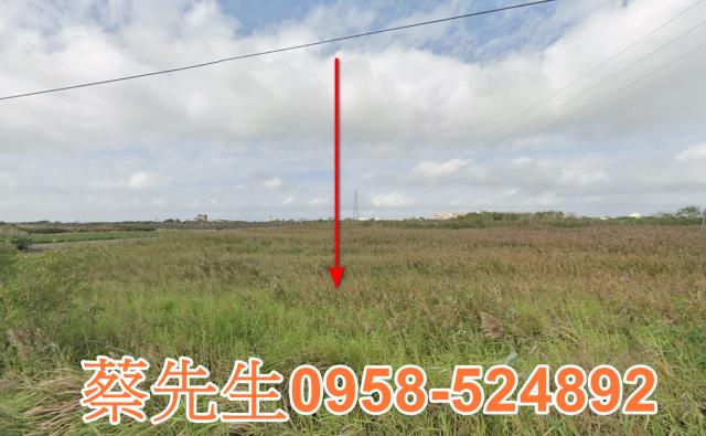 水林大溝村農舍地興建農舍種植農作物