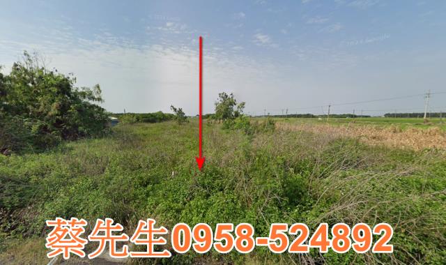 水林松北村農舍地興建農舍種植農作物