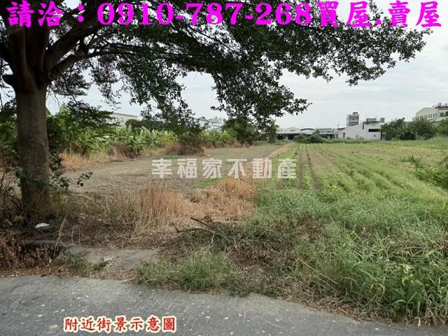 台南永康農地-11