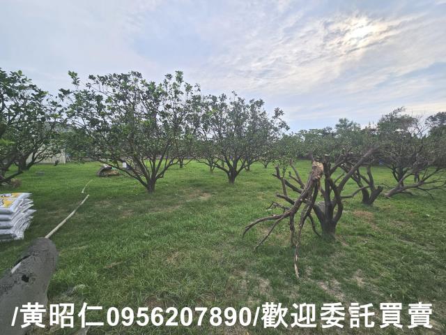 台南麻豆農地-2