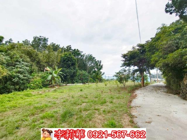 台南楠西農地-1