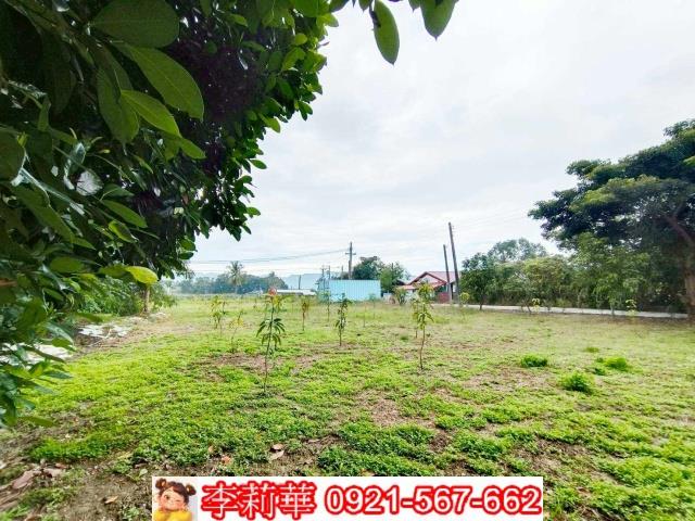 台南楠西農地-3