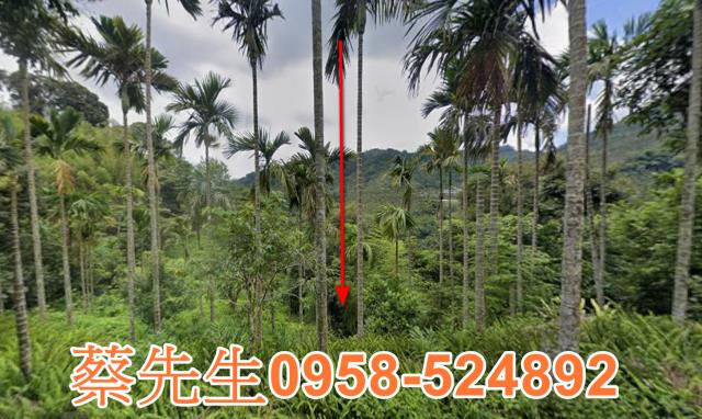 梅山碧後路農保地可做農保可蓋資材室