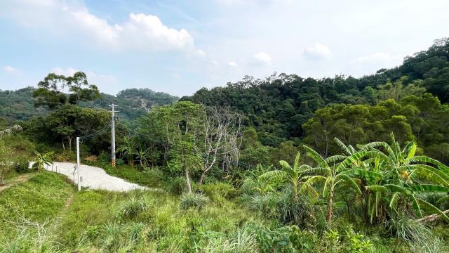 新竹寶山農地-13