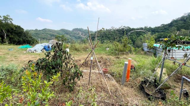 新竹寶山農地-4