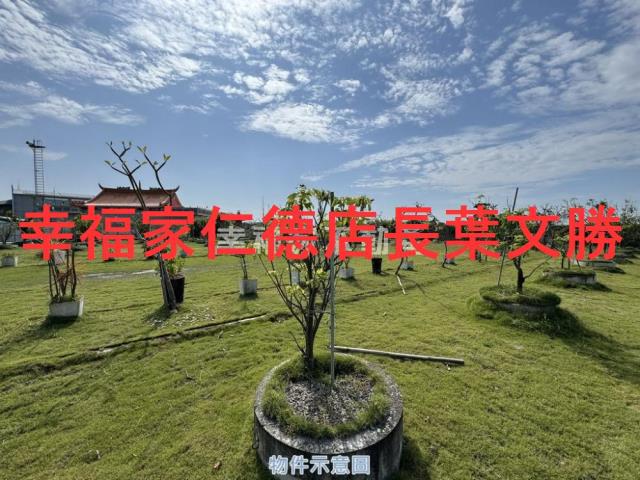 台南七股農地-6