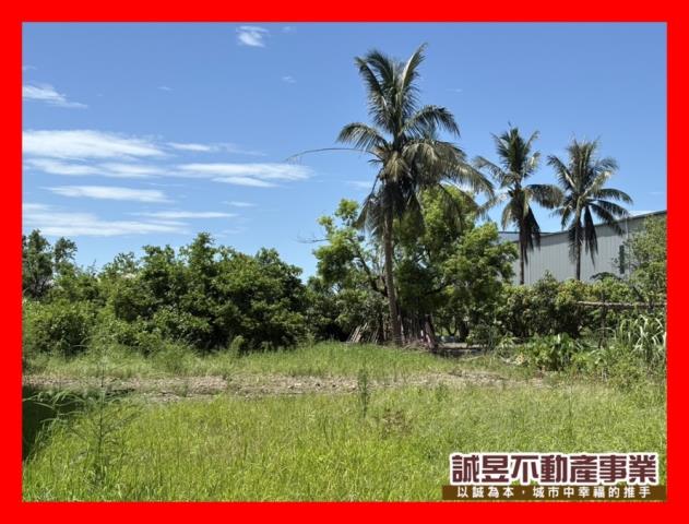 台南安南農地-10