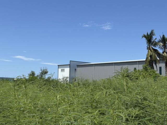 台南安南農地-8