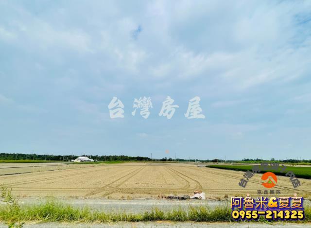 嘉義水上農地-2