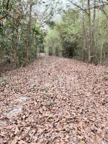 台南龍崎農地-1