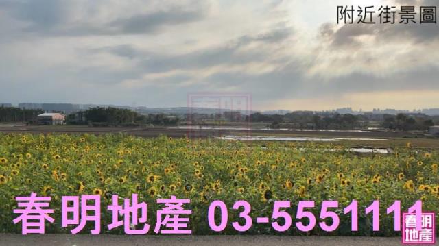 新竹竹北農地-11