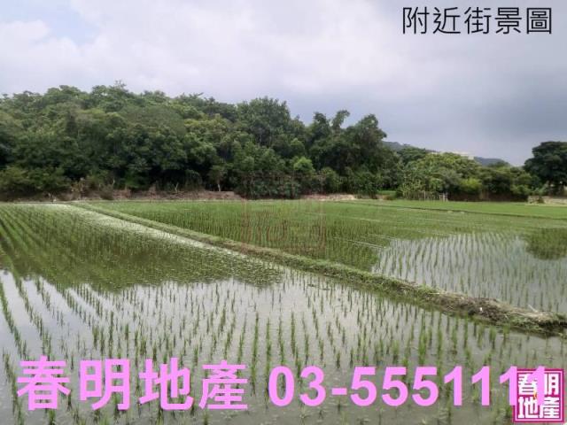 新竹竹北農地-4