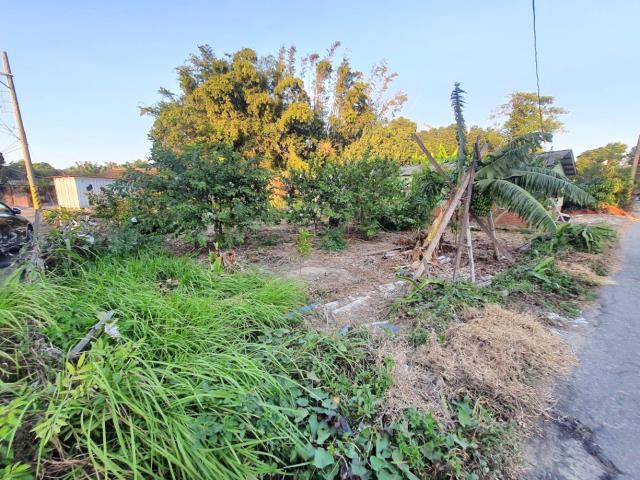 台南佳里農地-4