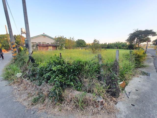 台南佳里農地-5