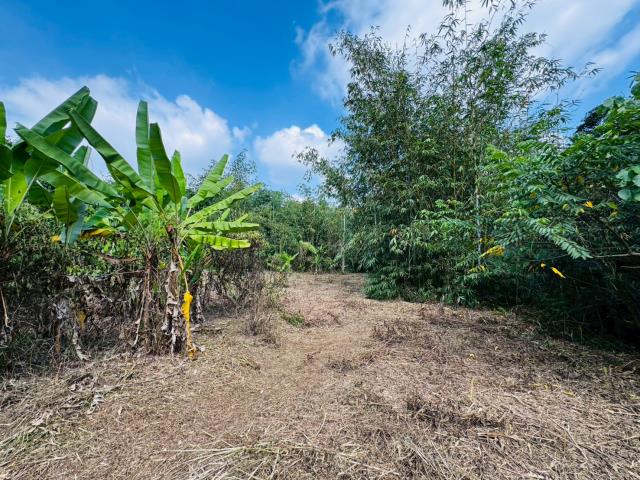 三十六崙低總價農地