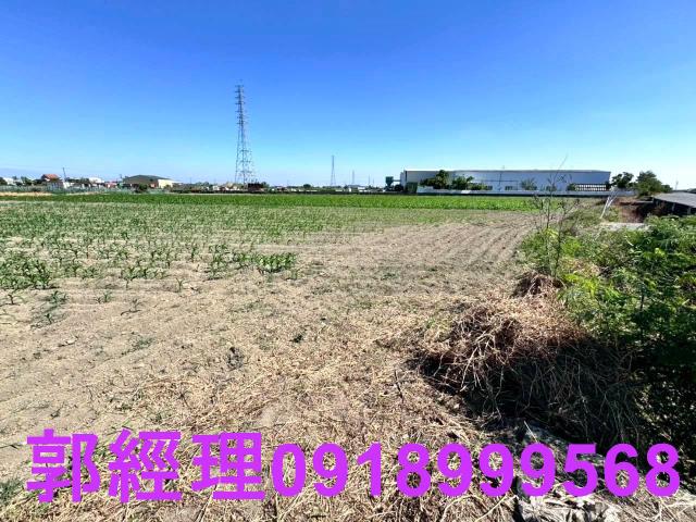 學甲農地-11