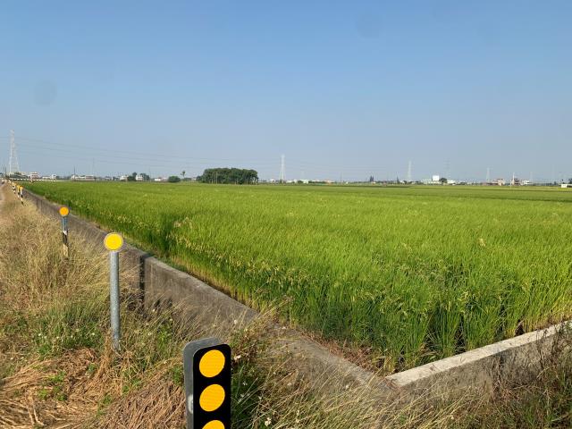 嘉義農地-9
