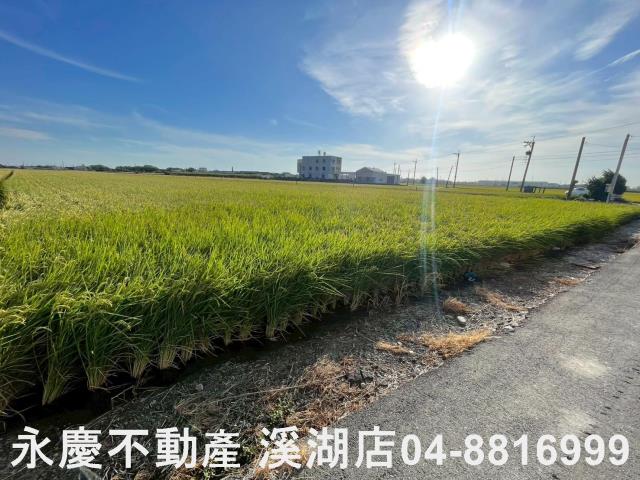 彰化二林農地-2