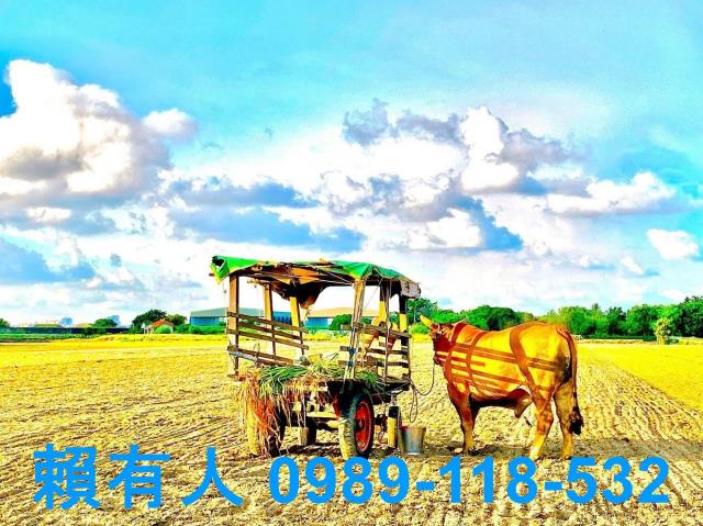 台南仁德農地-5