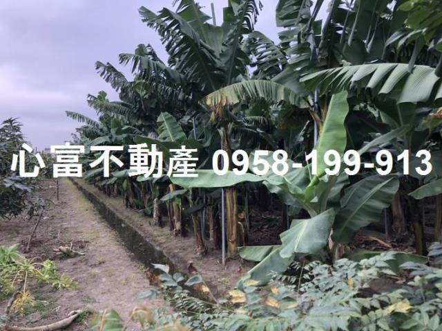 大寮河堤路三段建地