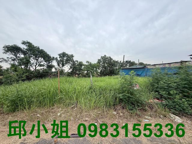 嘉義買房賣房房地合一稅建地農地