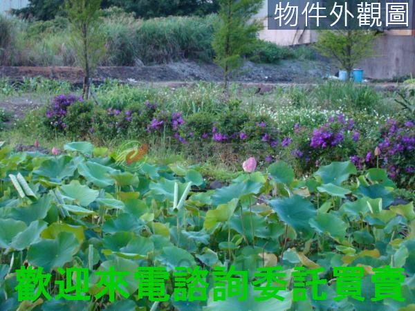 淡水三芝地產土地房屋買賣種田種樹種花園藝