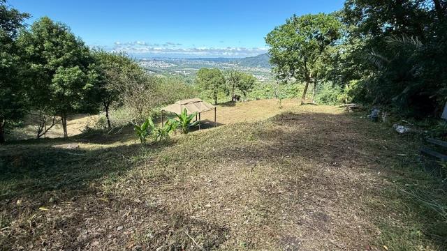 橫山無敵景觀百萬夜景露營地