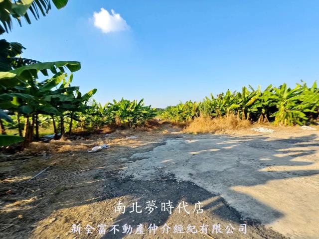 台南新化農地-3