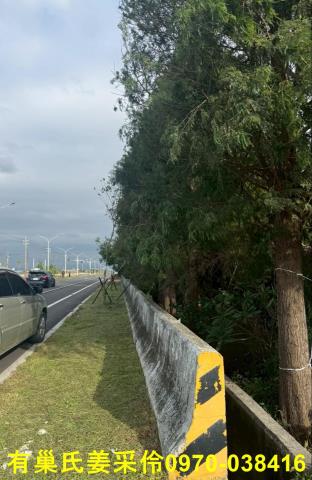 嘉義新港農地-0