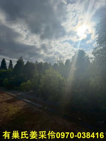 嘉義新港農地-3