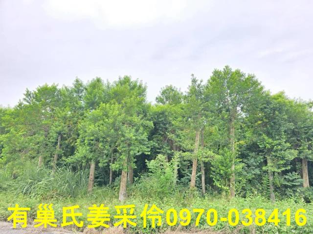 嘉義民雄農地-2