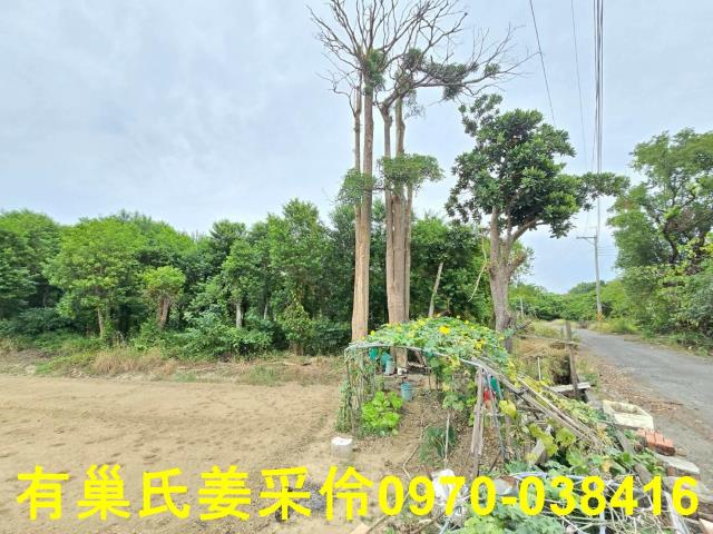 嘉義民雄農地-3