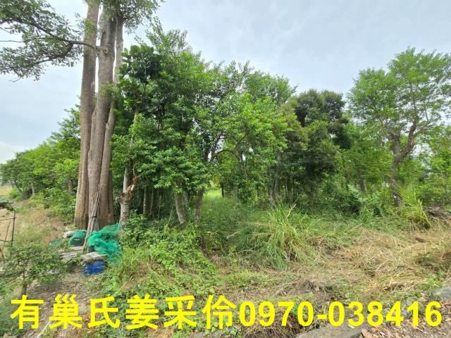 嘉義民雄農地-4